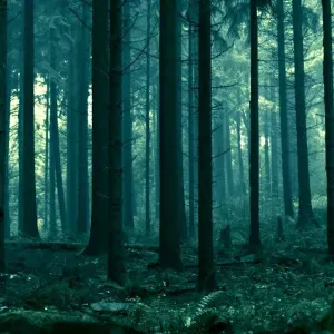 Offerta di lavoro per pulizie a Tresivio