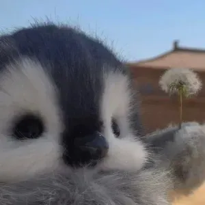 Pet-sitter à Reims ! Jeune et sérieux 