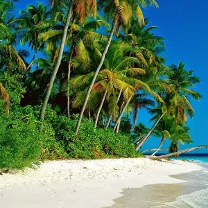 Emploi de femme de ménage Chavagne