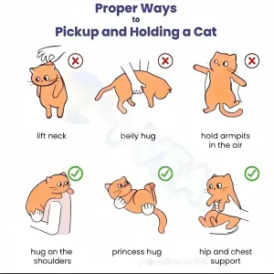 Baby sitter expérimentée et bienveillante 😊