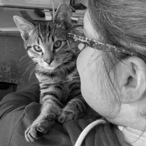 Cherche assistante(s) de vie sur Strasbourg