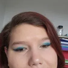 Baby-sitter expérimenté Le Mans 