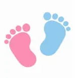 disponible pour rendre visite ou promener vos animaux