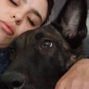 Pet Sitter passionné près de Auch 