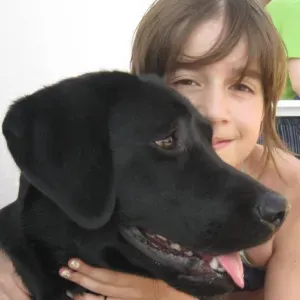 Pet sitting em Santarém, inclui cuidados físicos especiais