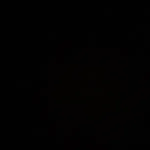 Stage pratique à l'école élémentaire 