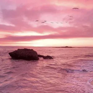 Aide à domicile pour vos ainés 