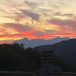 Cerco una donna delle pulizie affidabile