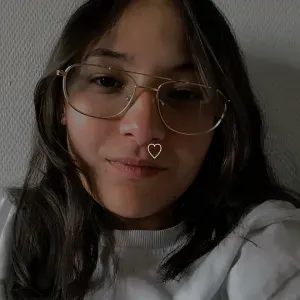 Femme de ménage a charleville-mézières 