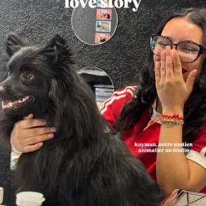 Pet-Sitter à Perpignan ! 