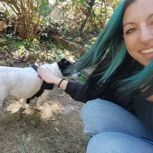 Pet sitting per Pavia e Milano 