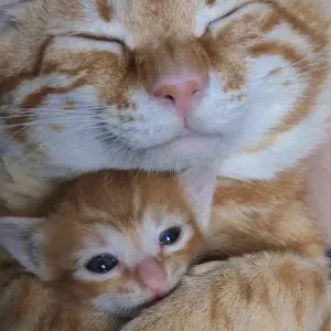 Professeur particulier sur Paris 