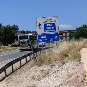 Buscando una niñera