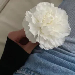 Femme de mènage travail soigné 