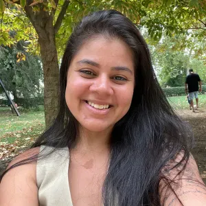 Limpeza Doméstica em Geral, Doméstica 