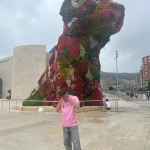 Propose promenade pour chien sur St andré