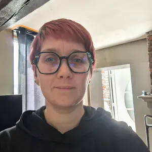 Aide ménagère dynamique et organisée  wiers , peruwelz...