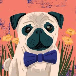 Offre d'emploi pour un(e) petsitter à Dourdan