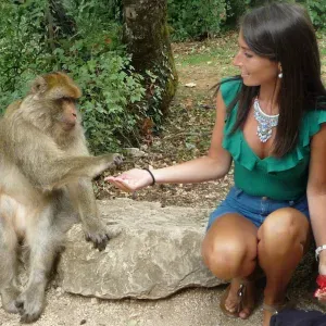 Pet sitter à caen sérieuse et attentionnée