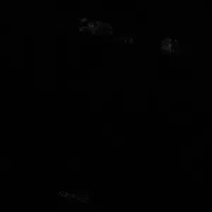 Pulizie e ordinamento.