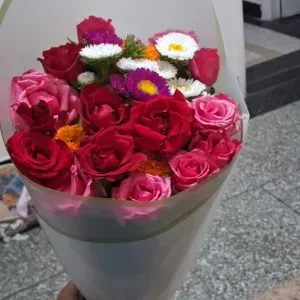 Femme de ménage a dole , foucherans, Damparis, tavaux 