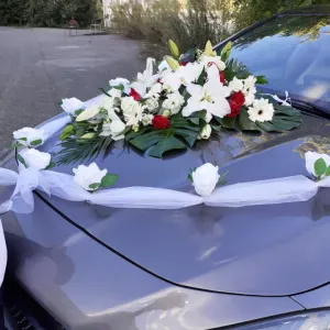  Garde Chien chat  oiseau Grenoble 