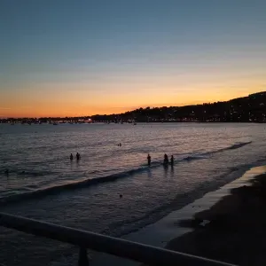 À Lescar ! Je propose mon aide pour m'occuper de vos animaux