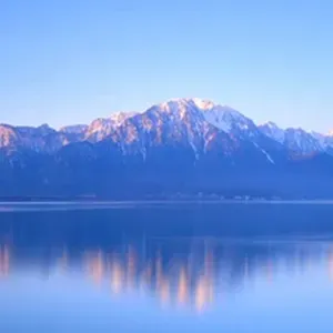 Je cherche un(e) dame de companie