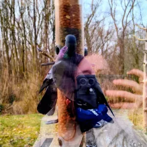 Je recherche une femme de ménage