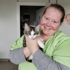 Garde sereine avec une assistante vétérinaire