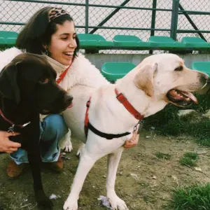 Pet sitting em Santa Clara e Lumiar (Lisboa)
