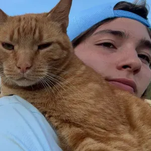 Garde d'animaux sérieuse à domicile