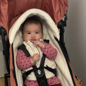 Nounou pour bébé de 9 mois 