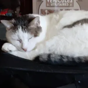 Auxiliaire de vie 24h 48h pour monsieur tétraplégique 