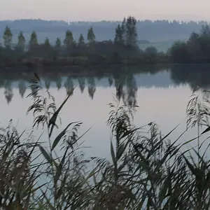 Emploi de baby-sitter Hannut