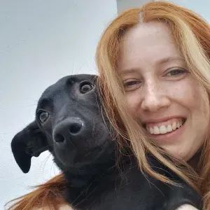 Trato do teu animal na zona de Guimarães e arredores 