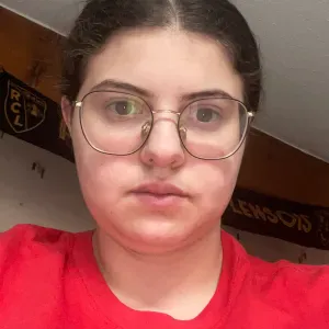 Baby-sitter expérimenté sur Ugine 