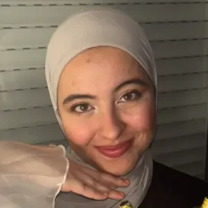 Baby - Sitter à Lille  France 