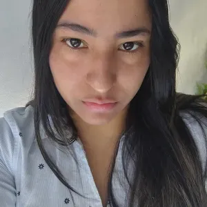 Limpiador responsable em área de casa 