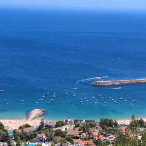 Idosos, crianças, animais em vila franca de xira Lisboa 