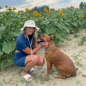 Pet-Sitter Chien/Chat sur Arles. 