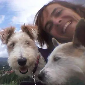 Petsitter (domicilio) / Dogwalking, em Valongo (e arredores)