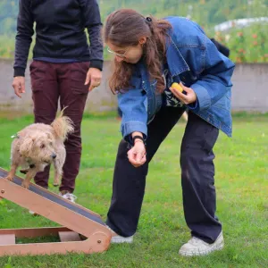 Offro Pet sitting a Trento e Povo