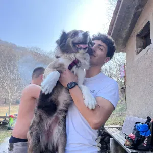 Pet sitting a Varese (e provincia)