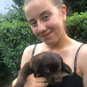 Pet sitting a carpi e dintorni 