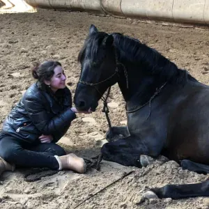 Garde d'animaux et balades à Paris/92