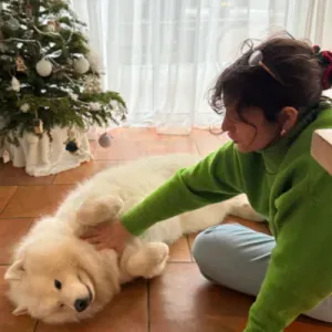 Petsitter, promeneuse de chiens à Pantin et environs