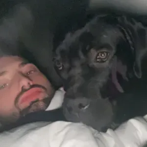 Pet-sitter Lyon et Monts d'or 