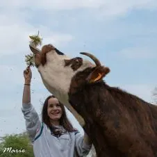 Garde de votre chiens / chats