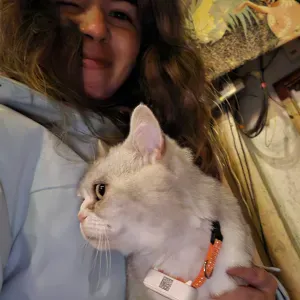 Pet Sitting na Ilha da Madeira